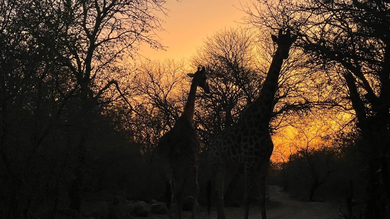 Apartamento Kruger Kumba - Lahlekile Nathi Marloth Park Exterior foto
