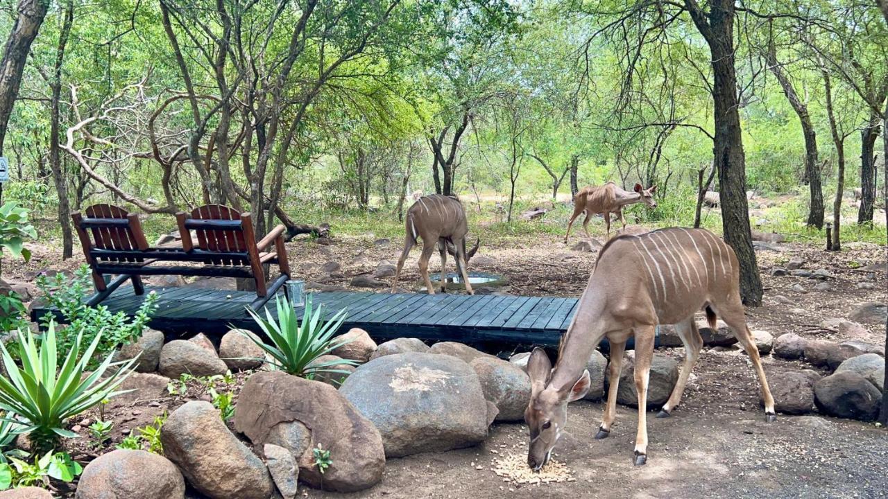 Apartamento Kruger Kumba - Lahlekile Nathi Marloth Park Exterior foto