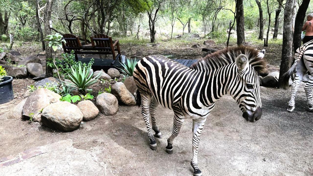 Apartamento Kruger Kumba - Lahlekile Nathi Marloth Park Exterior foto